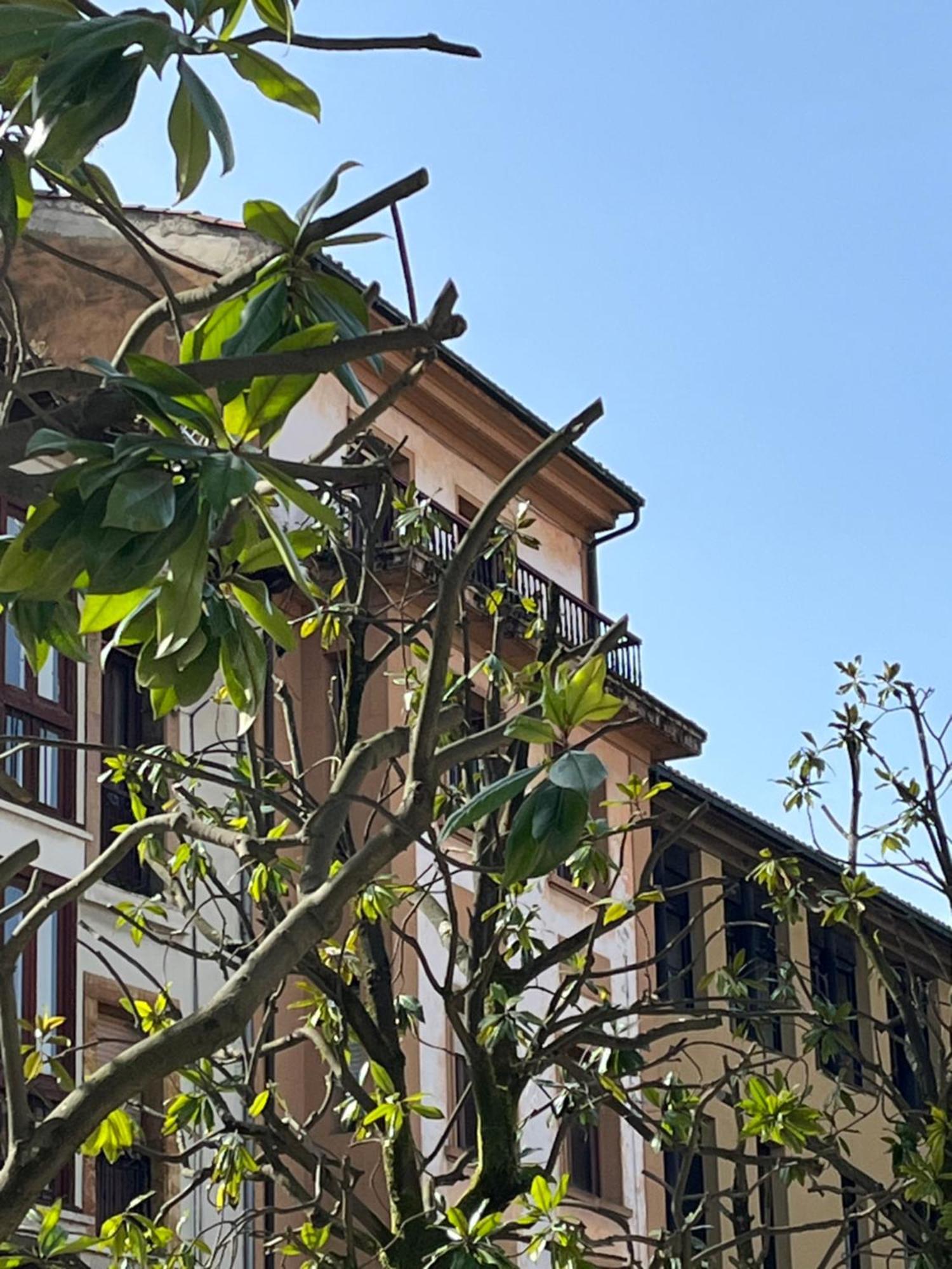 Apartamento Salsipuedes-La Catedral Oviedo Exterior foto